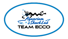 Team ECCO Inc